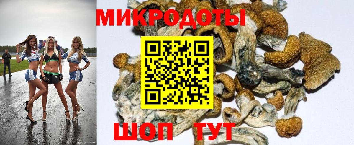 Гулькевичи  Псилоцибиновые грибы GOLDEN TEACHER  Вход с VPN 